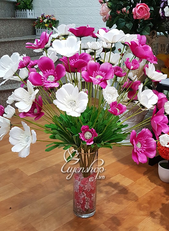 Hoa Bướm