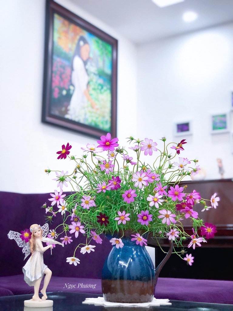 Hoa Bướm