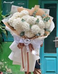 Hoa Cẩm Tú Cầu