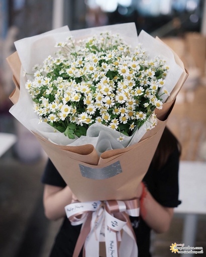 [FLOT465] Bó Hoa Cúc Họa Mi