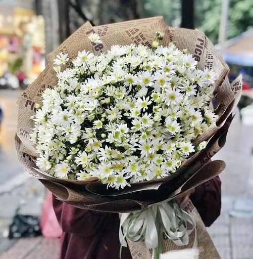[FLOT094] Bó Hoa Cúc Họa Mi