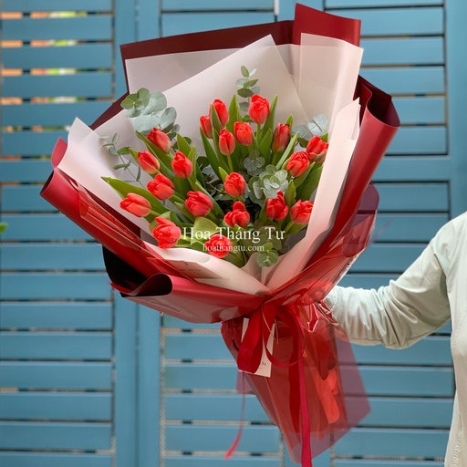 [FLOT096] Bó Hoa Tulip Đỏ