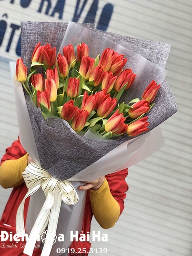 [FLOT315] Bó Hoa Tulip Đỏ