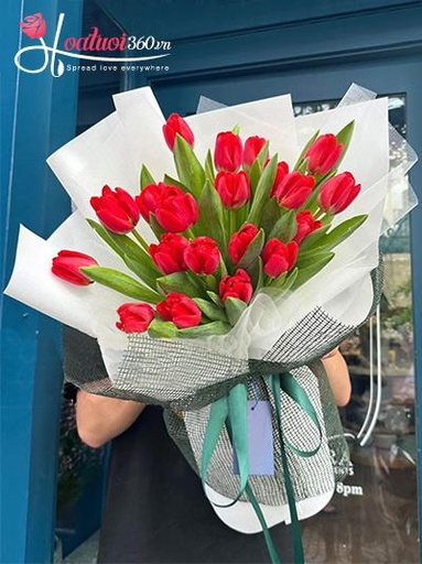 [FLOT006] Bó Hoa Tulip Đỏ