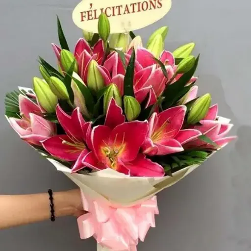 [FLOT497] Hoa Bách Hợp