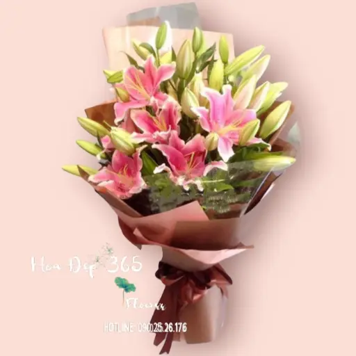 [FLOT483] Hoa Bách Hợp