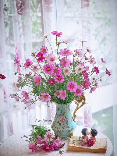 [FLOT284] Hoa Bướm