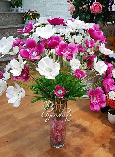 [FLOT453] Hoa Bướm