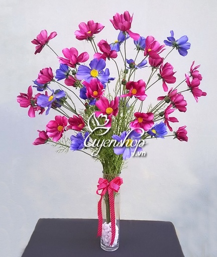 [FLOT448] Hoa Bướm