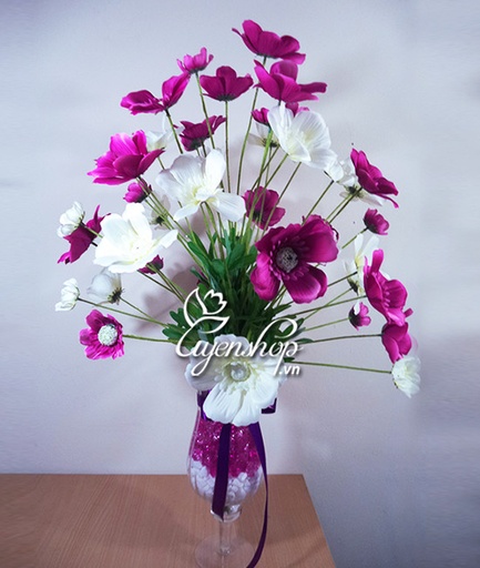 [FLOT422] Hoa Bướm