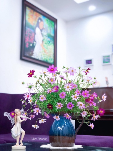 [FLOT348] Hoa Bướm