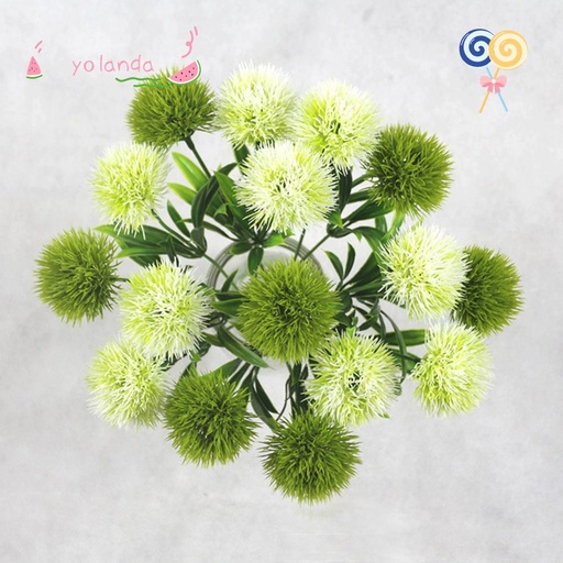 [FLOT283] Hoa Bồ Công Anh