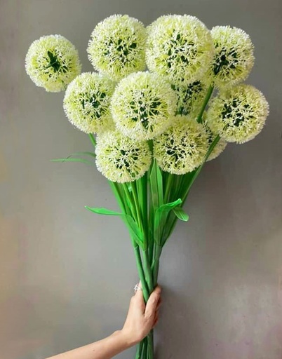 [FLOT340] Hoa Bồ Công Anh