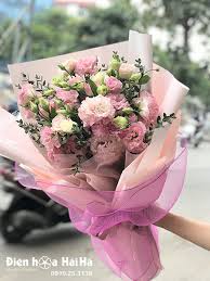 [FLOT345] Hoa Cát Tường