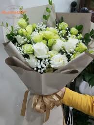 [FLOT261] Hoa Cát Tường