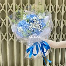[FLOT435] Hoa Cẩm Tú Cầu