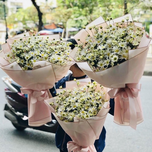 [FLOT072] Bó Hoa Cúc Họa Mi