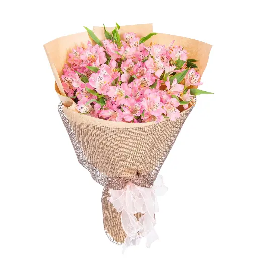 [FLOT244] Hoa Sứ