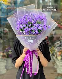 [FLOT132] Hoa Thủy Tiên