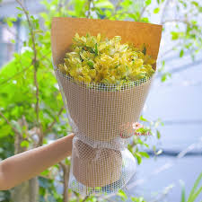 [FLOT333] Hoa Thủy Tiên