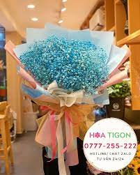 [FLOT243] Hoa Tigon