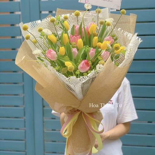 [FLOT171] Hoa Tulip