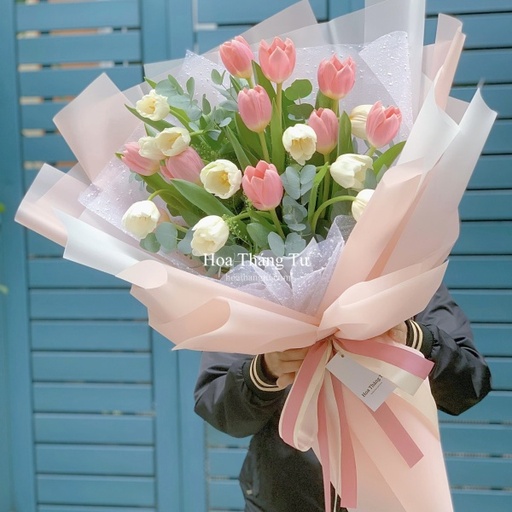 [FLOT476] Hoa Tulip