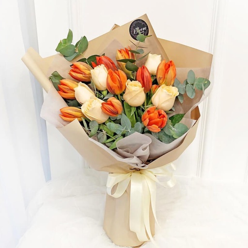[FLOT410] Hoa Tulip