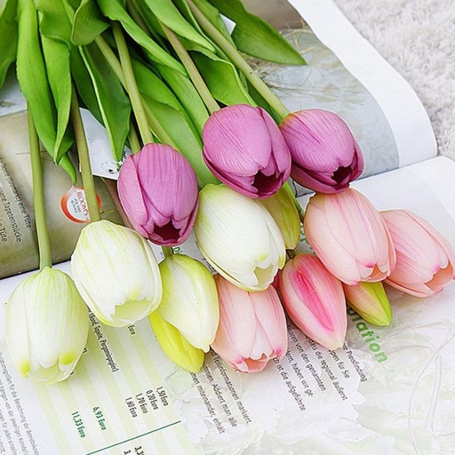 [FLOT411] Hoa Tulip