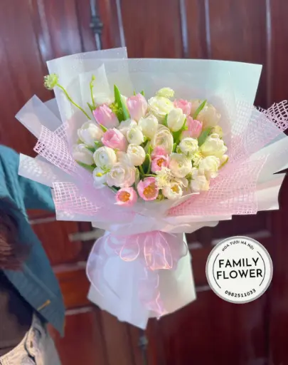 [FLOT131] Hoa Tulip