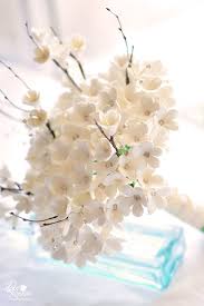 [FLOT038] Hoa Đào