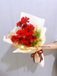 [FLOT392] Hoa Đồng Tiền
