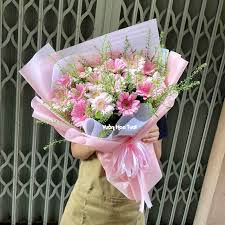 [FLOT258] Hoa Đồng Tiền