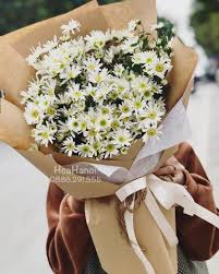 [FLOT465] Bó Hoa Cúc Họa Mi